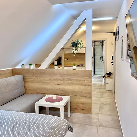 Apartman U Bobovky - リプノ・ナト・ヴルタヴォウ エクステリア 写真